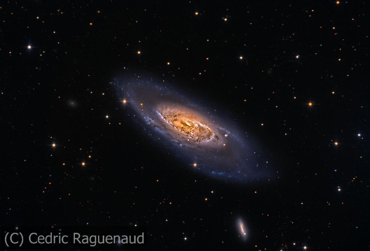 M106 M106