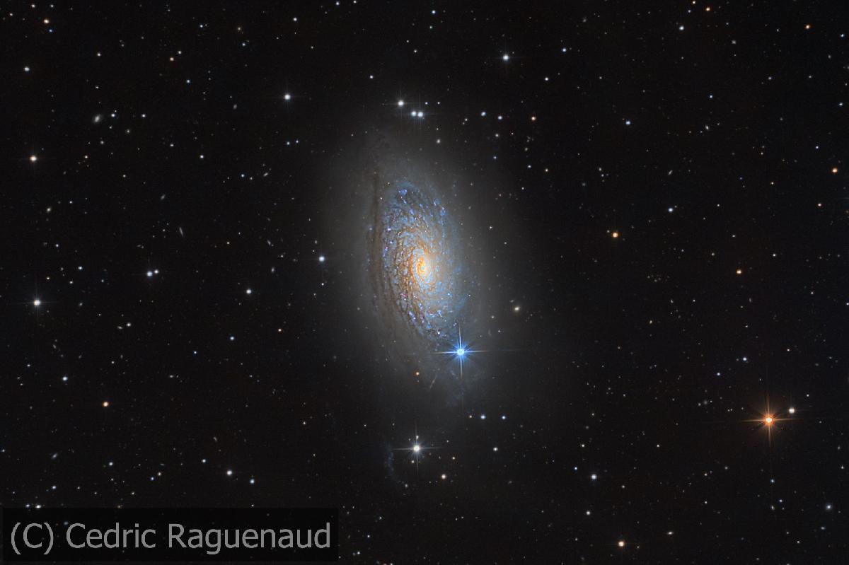 M63 M63