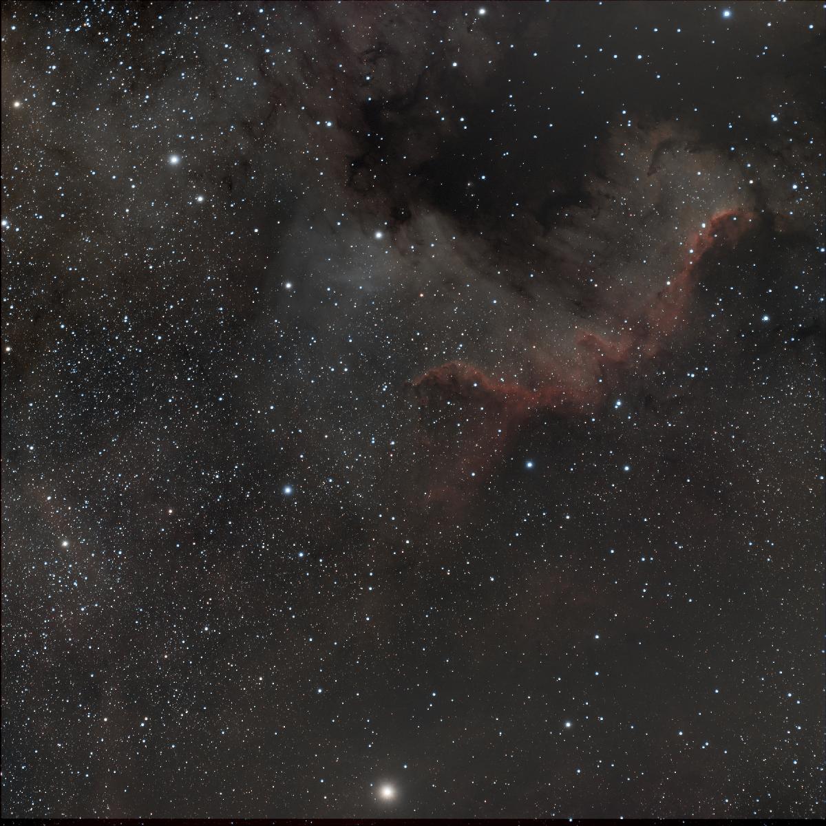 NGC7000