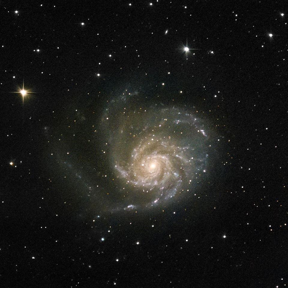 M101 M101