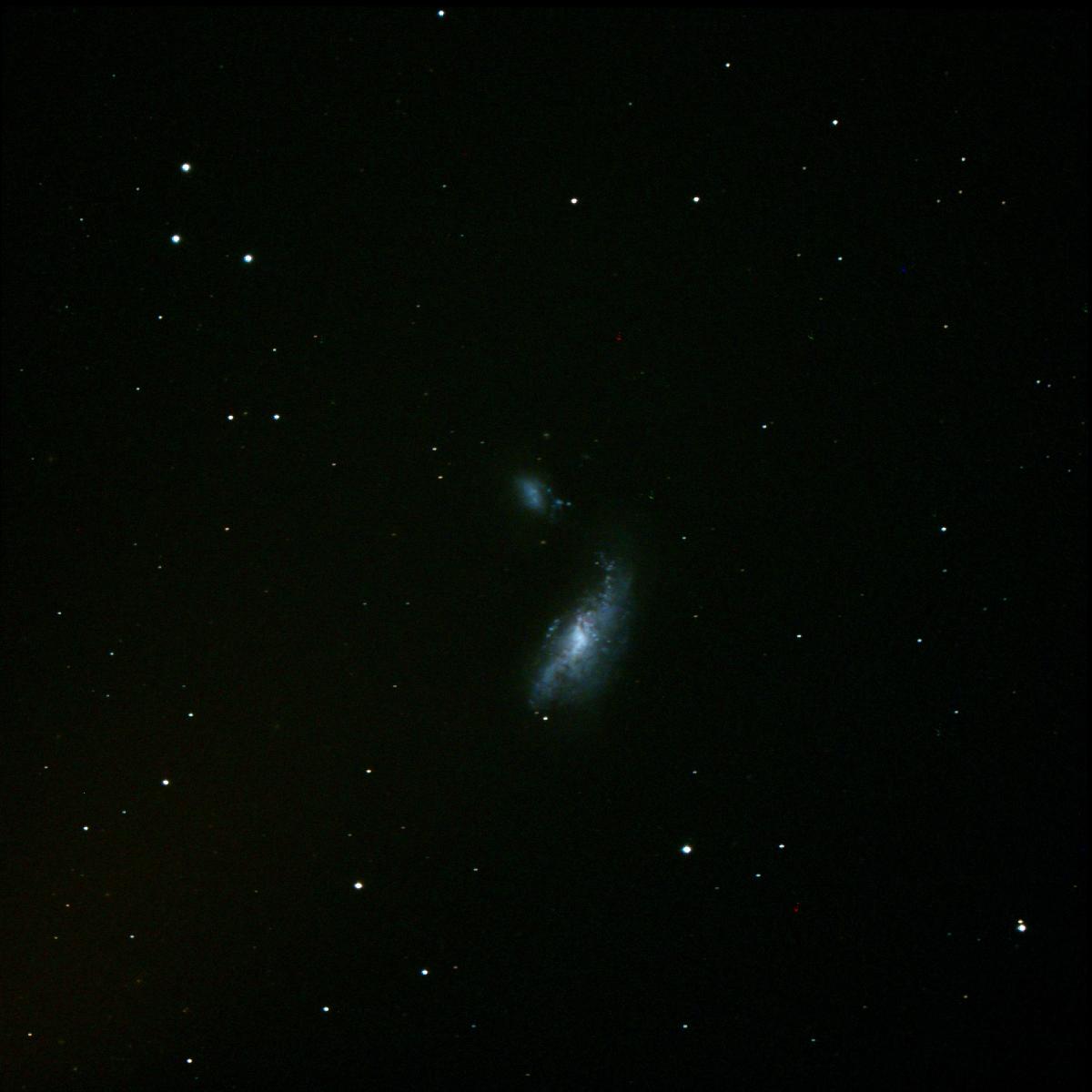 Cocoon Galaxy : NGC4490 et 4485 Cocoon Galaxy : NGC4490 et 4485