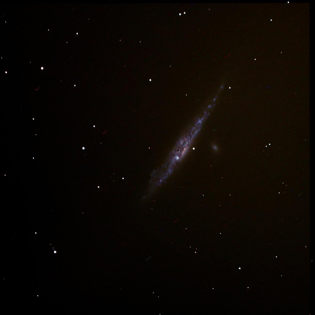 Galaxie de la Baleine (NGC4631) + NGC4627 Galaxie de la Baleine (NGC4631) + NGC4627