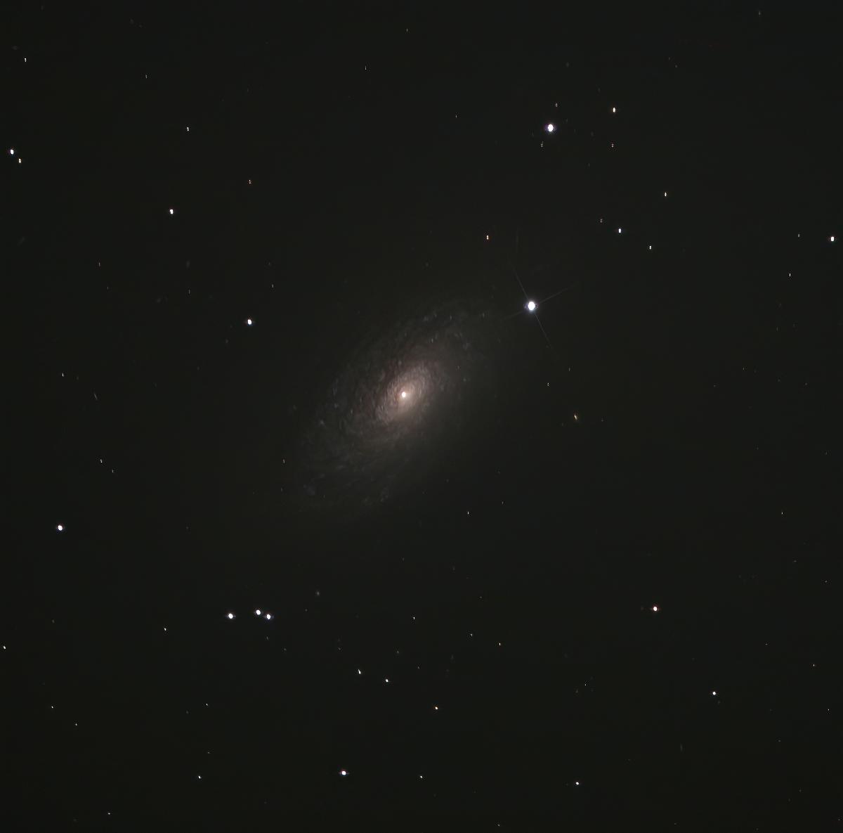 M63 - Galaxie du tournesol M63 - Galaxie du tournesol