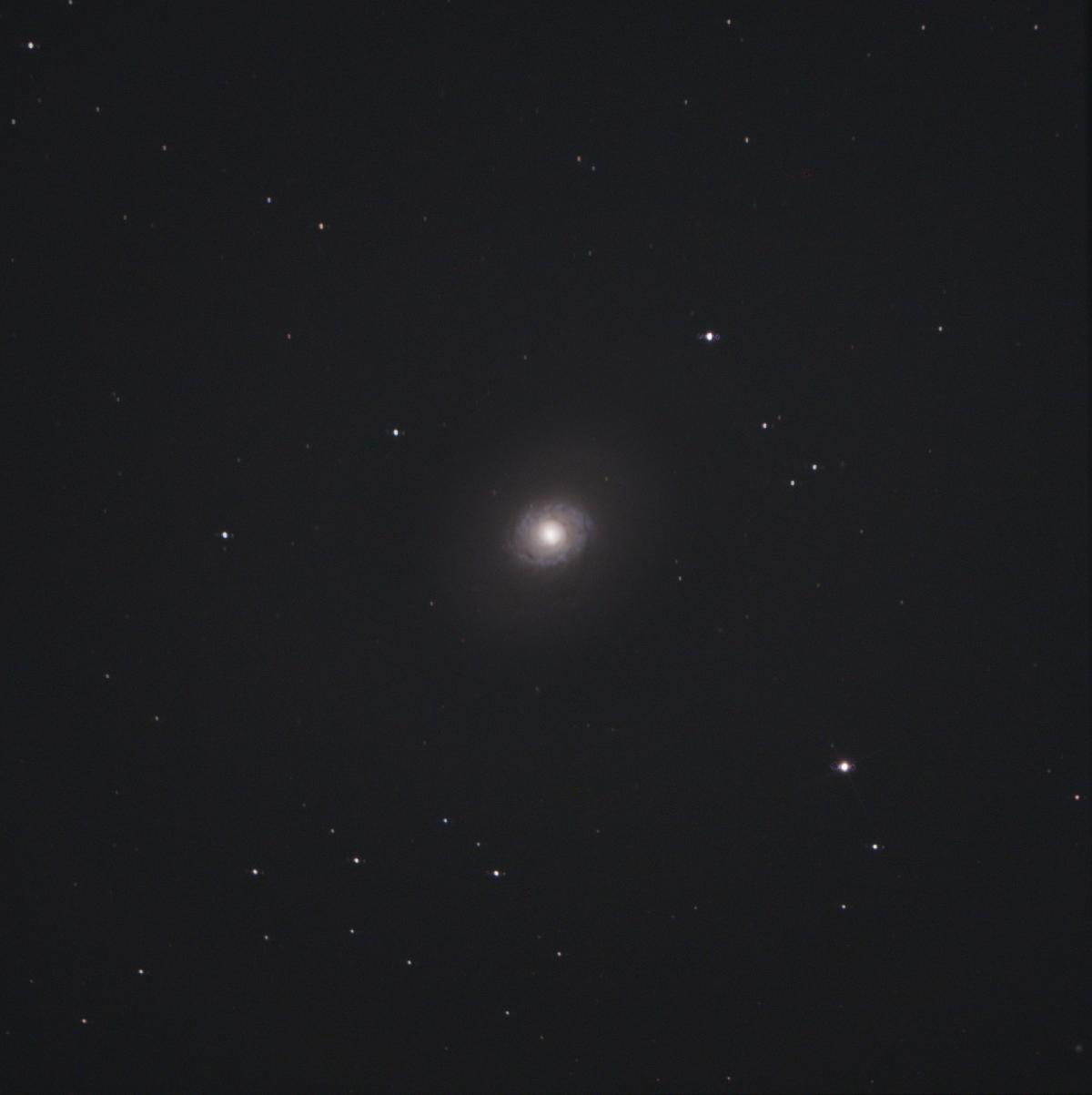 M94 - Galaxie de l'oeil de crocodile M94 - Galaxie de l'oeil de crocodile