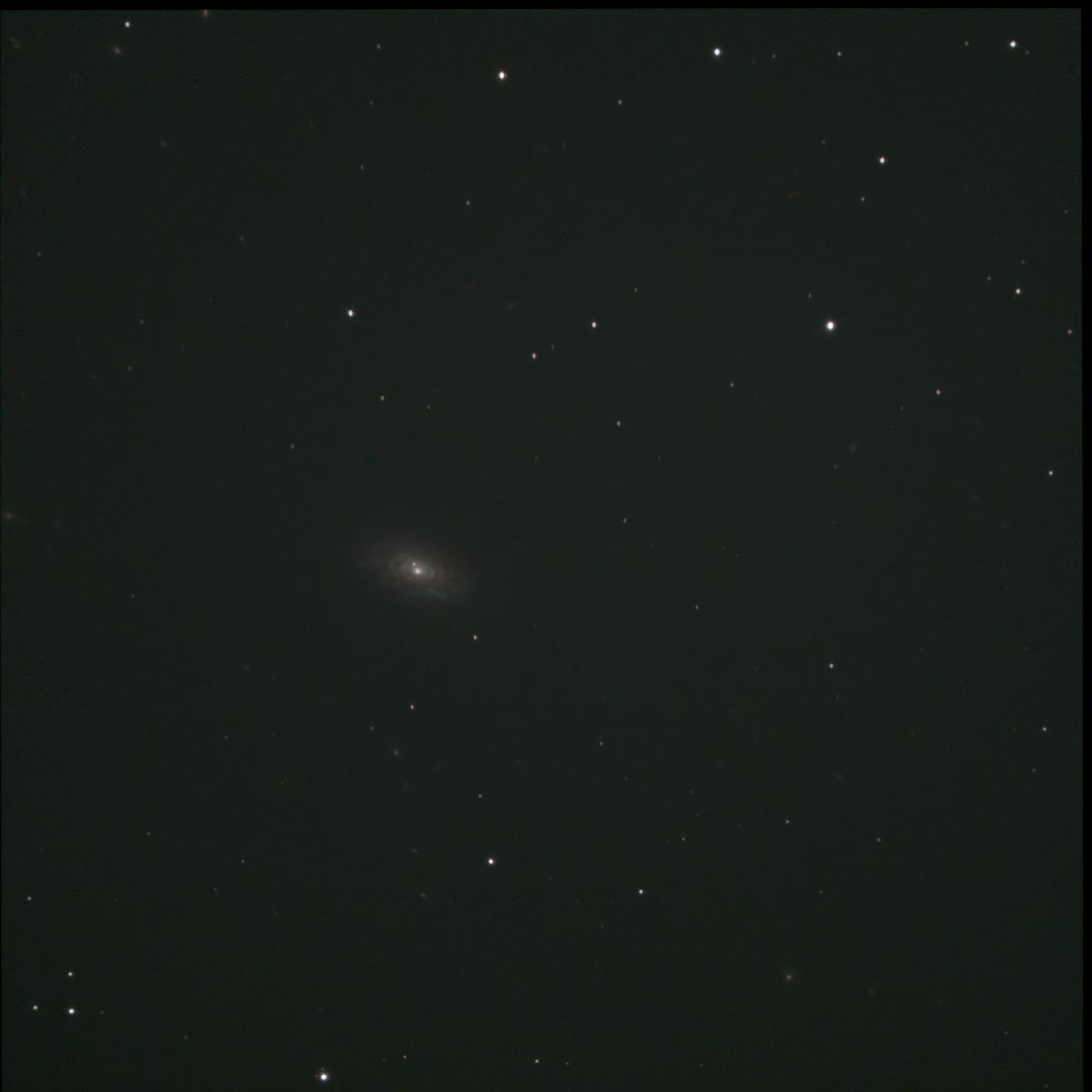 NGC4414 + Supernova NGC4414 + Supernova