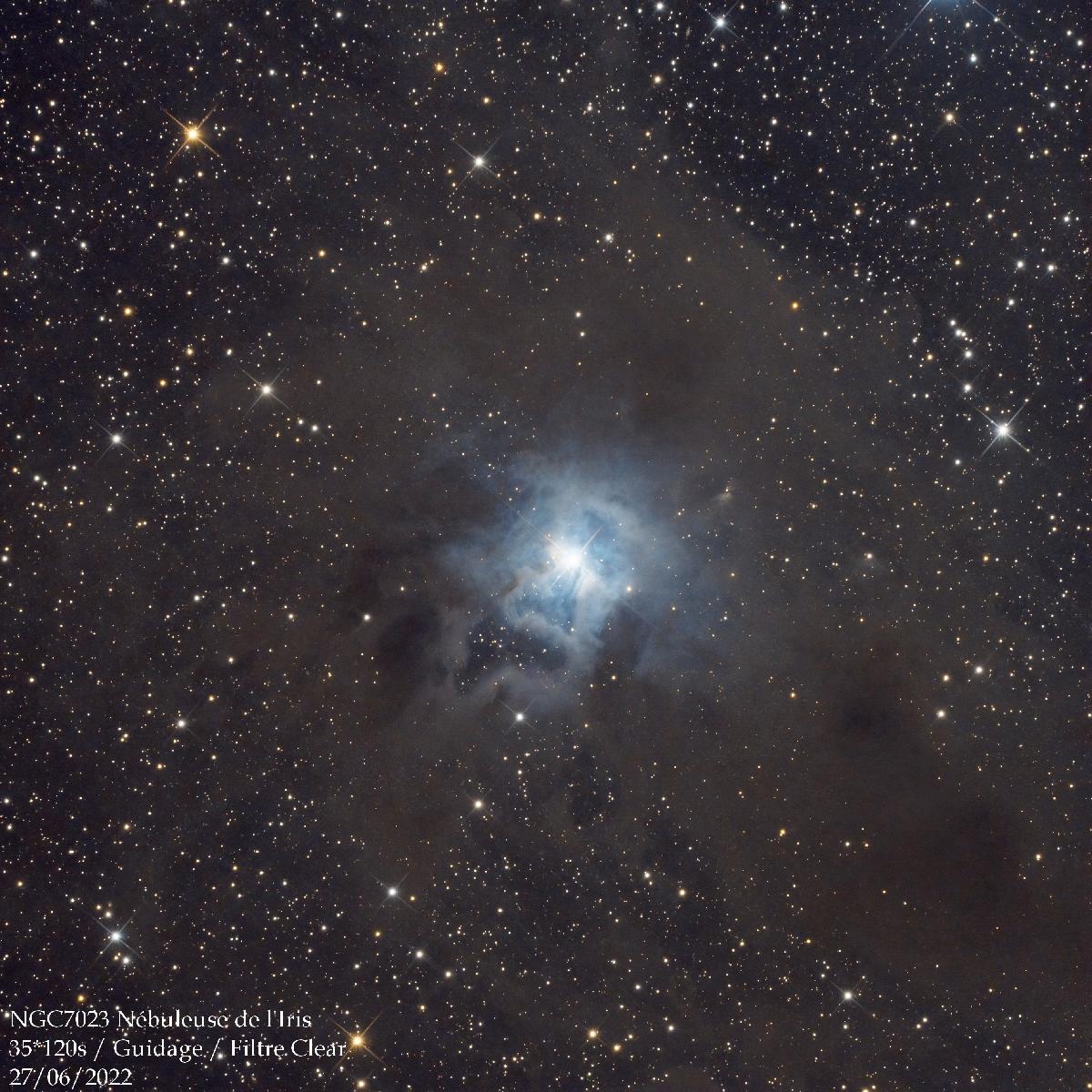 NGC7023 - Nébuleuse de l'iris NGC7023 - Nébuleuse de l'iris