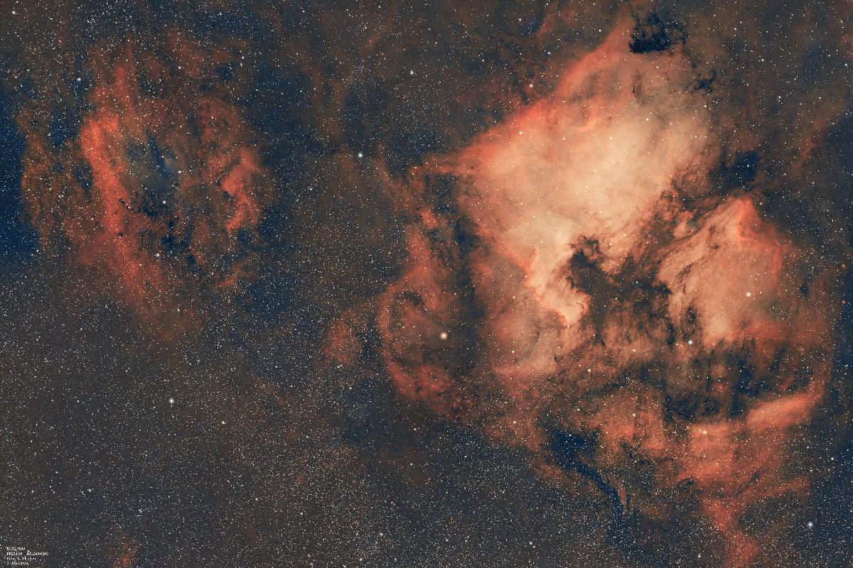 NGC7000 grand champ