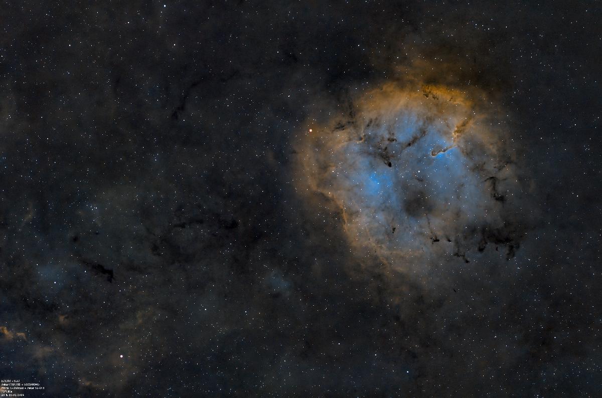 IC1396 (SHO) IC1396 (SHO)