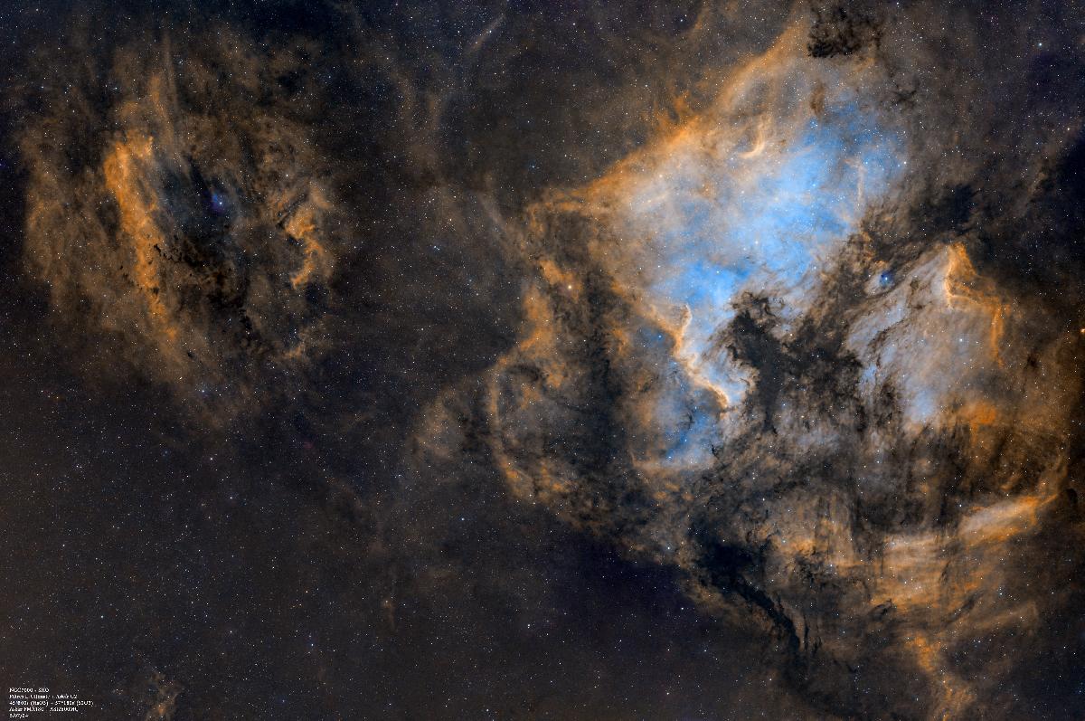 NGC7000 grand champ (SHO)