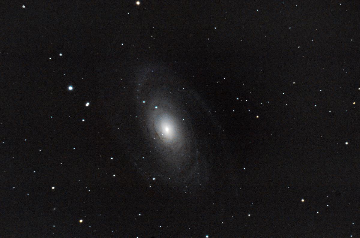 M81 M81