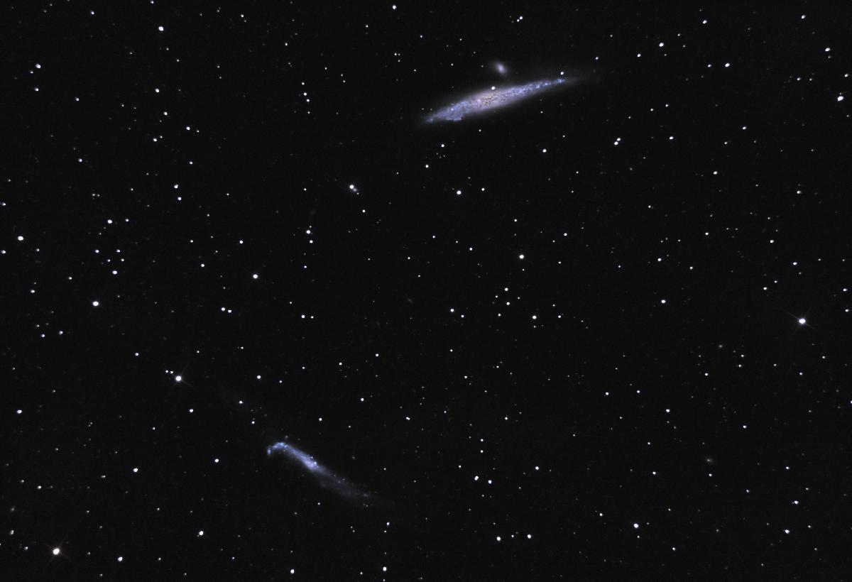 NGC 4656 et 4631