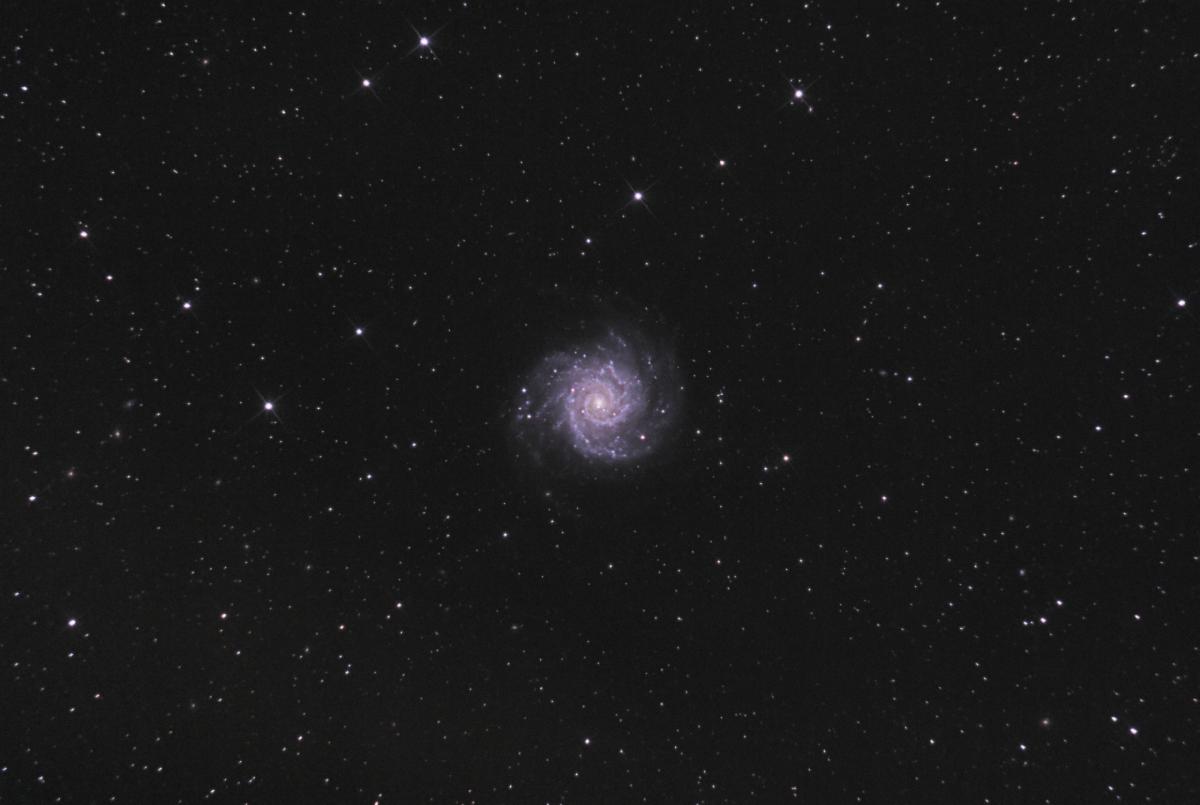 M74