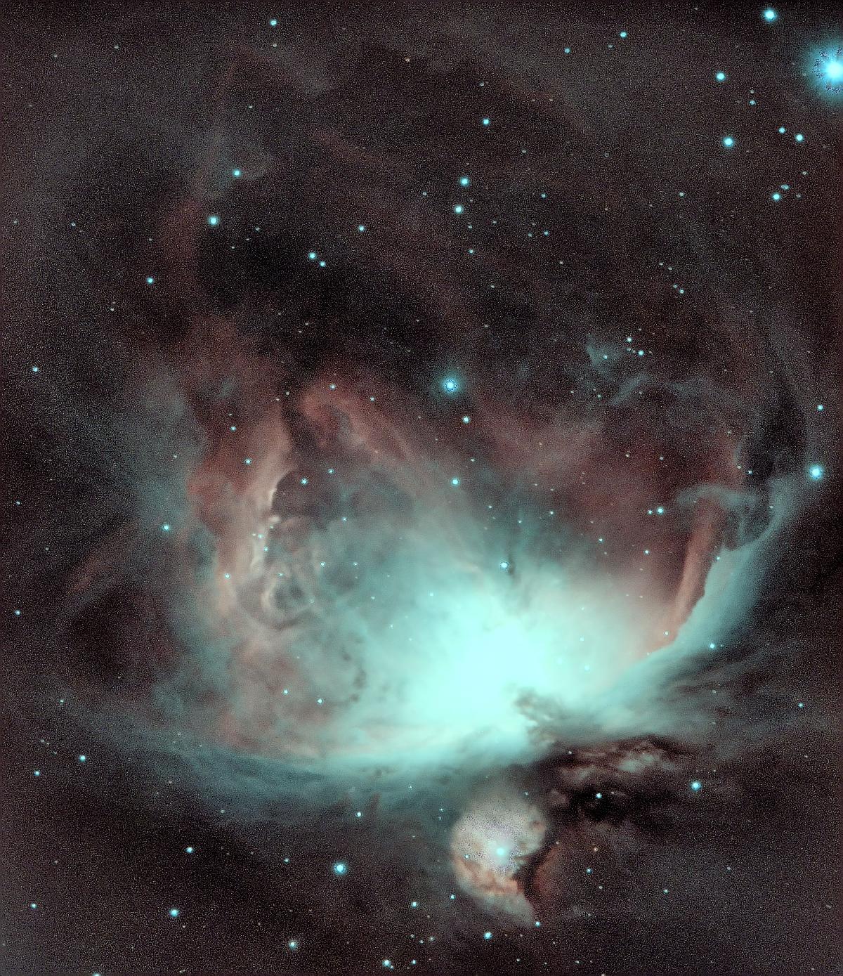 orion orion