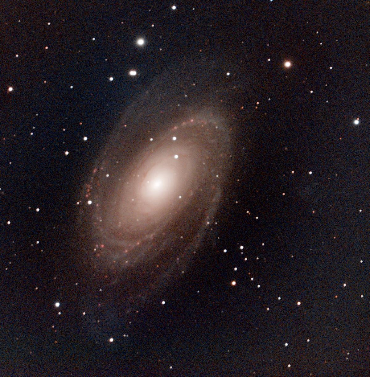 m81 m81
