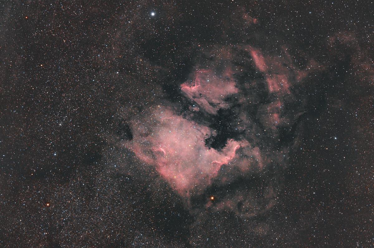 NGC7000 harvb NGC7000 harvb