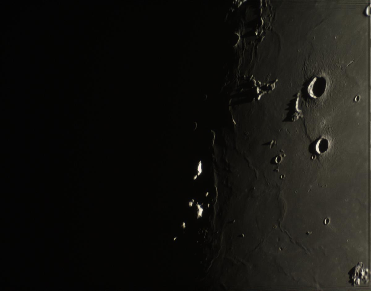 des moutons sur la lune! des moutons sur la lune!