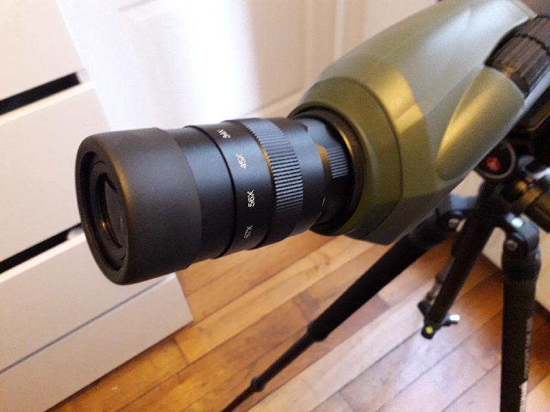 Celestron Regal M2 100ED