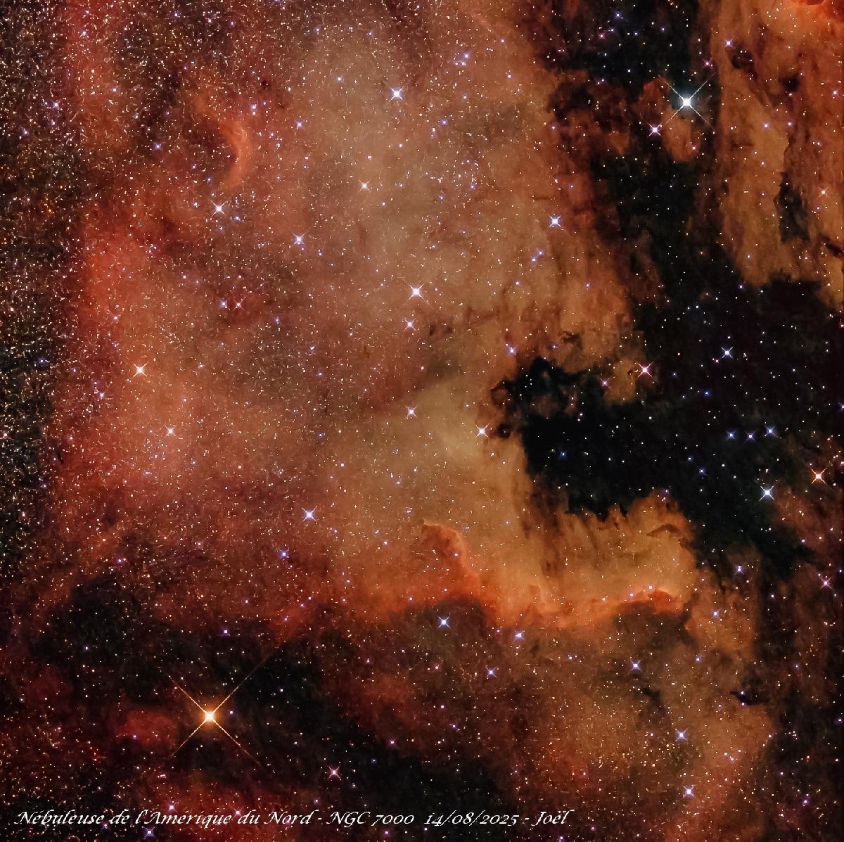 NGC 7000 - 