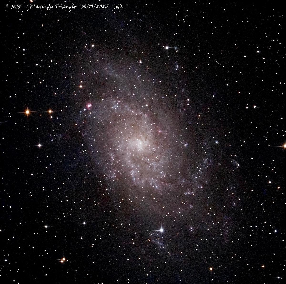 M33 
