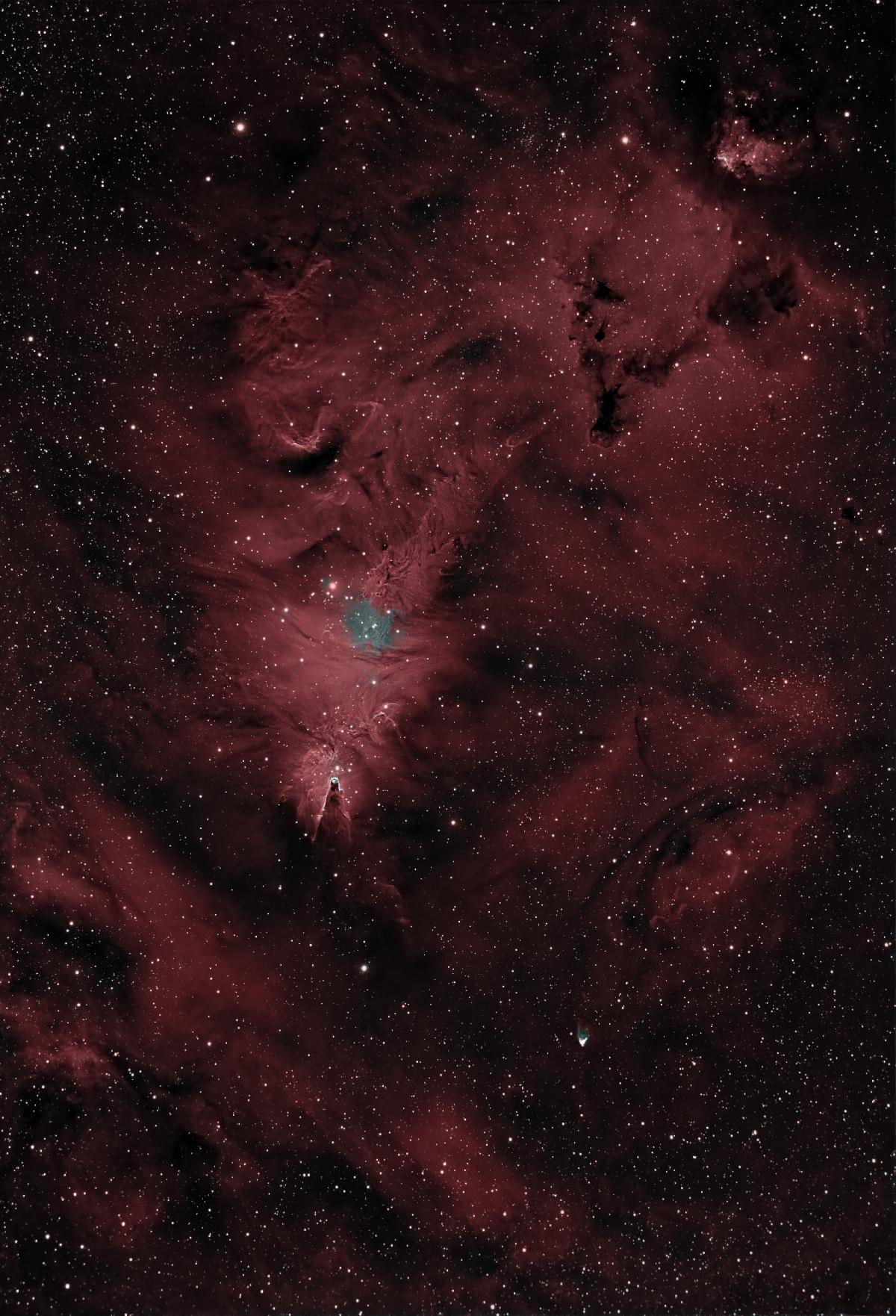 Un sapin sur son cône décoré avec l'amas NGC2264 Un sapin sur son cône décoré avec l'amas NGC2264