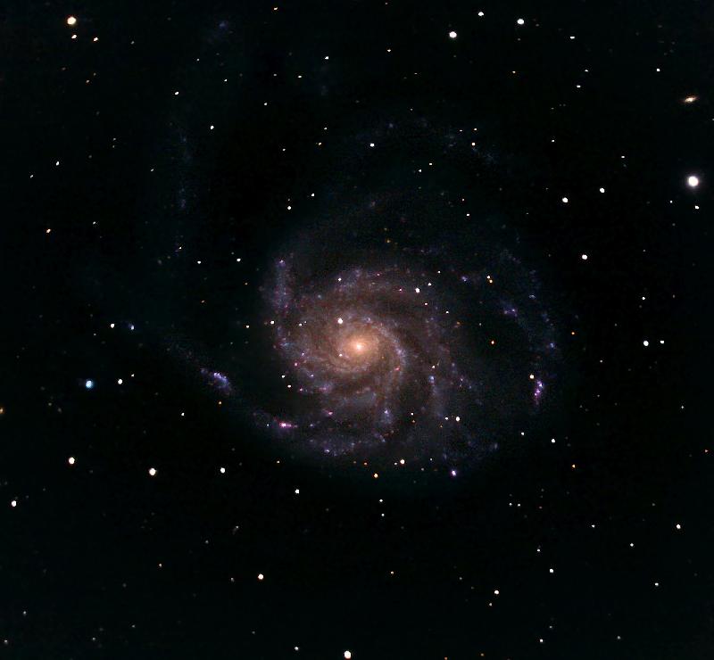 Canon eos 40d astrodon inside
