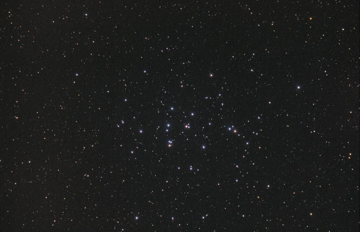M44 M44