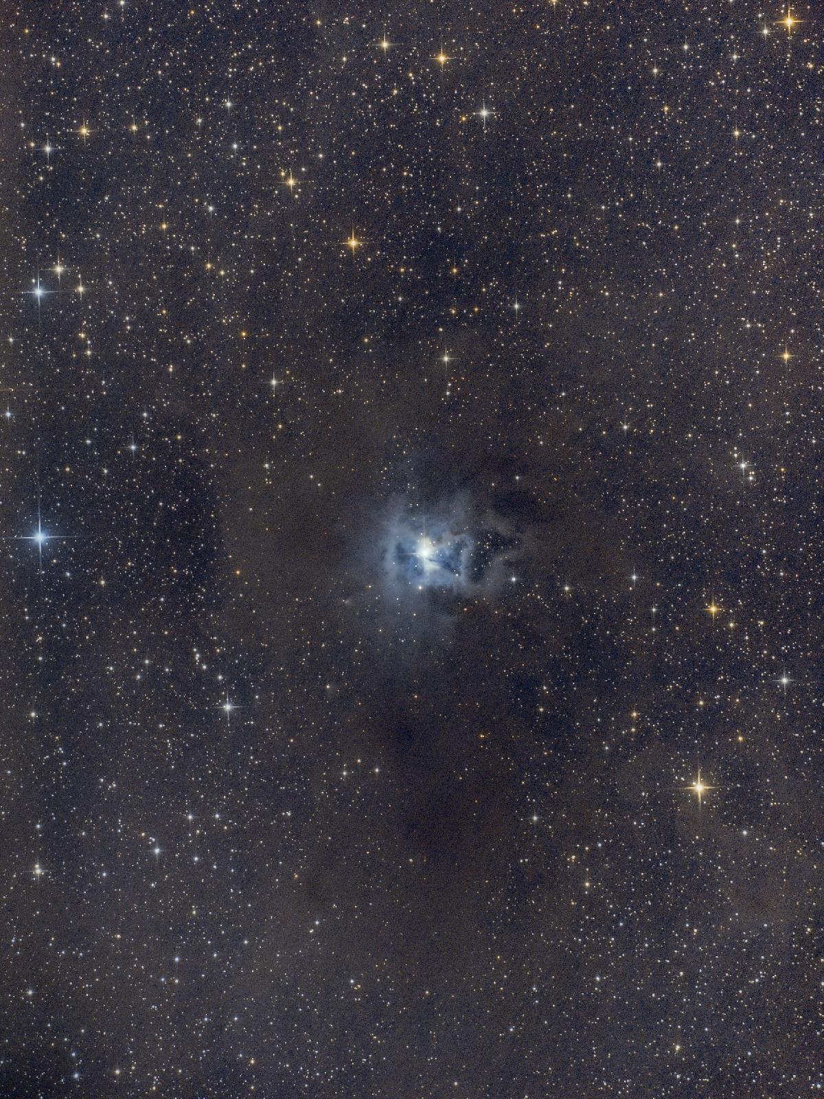 Nébuleuse de l'Iris