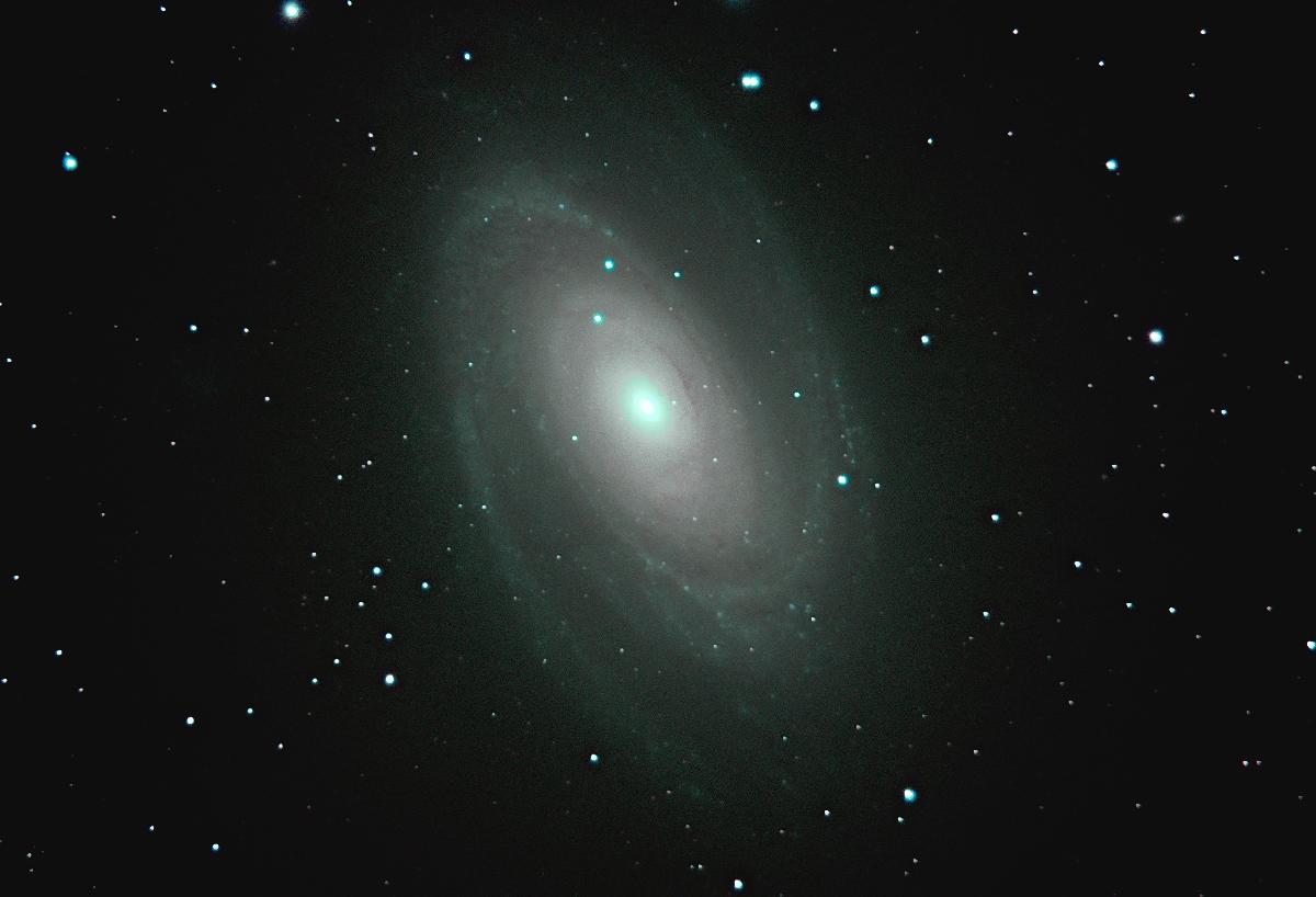 m81