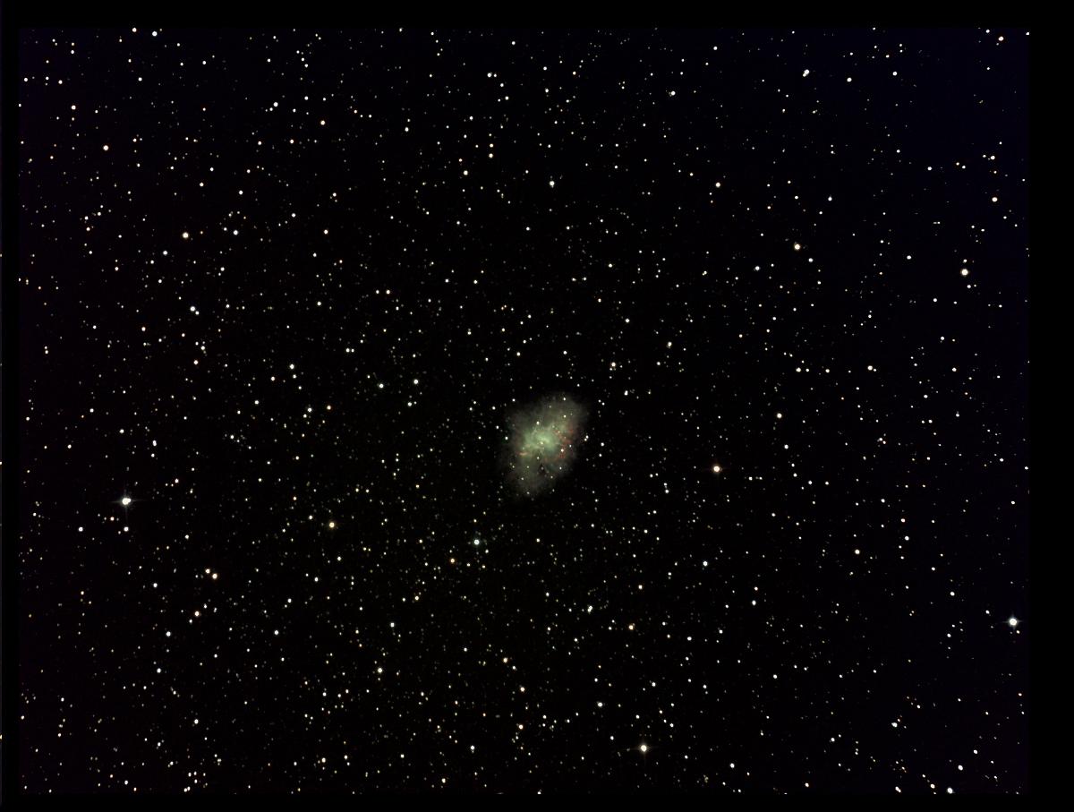 M1 - crabe