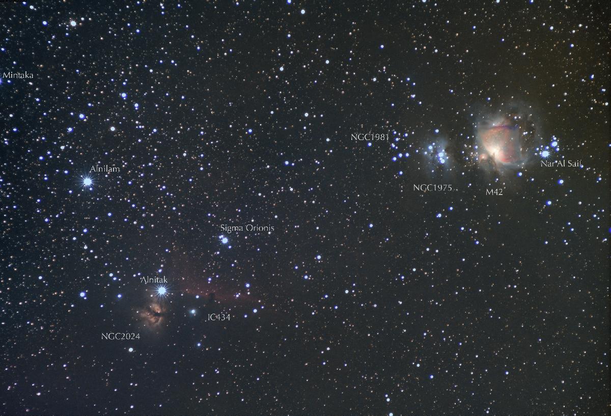 Orion Orion