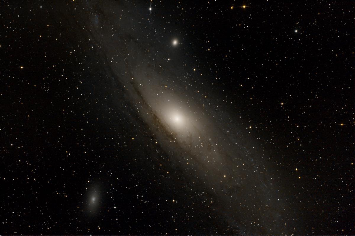 M31