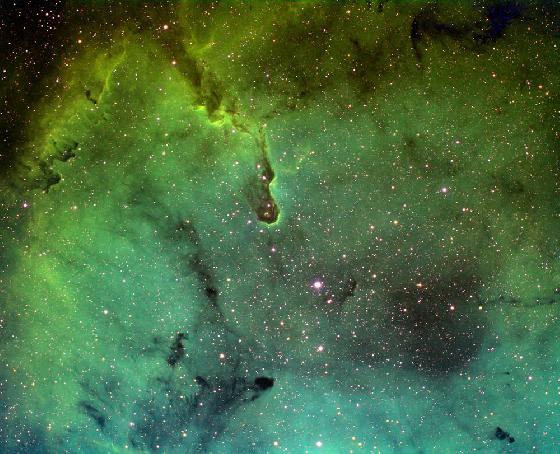 IC1396 SHO