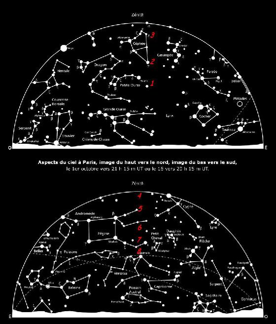 carte carte