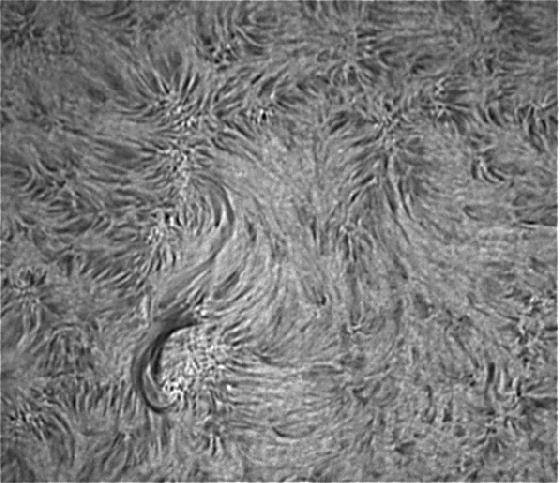 soleil du 28 juin 16