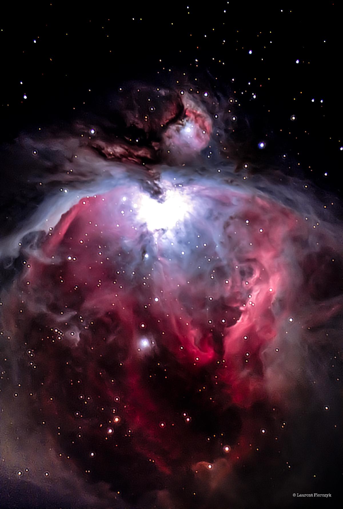 Orion Orion