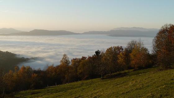 Automne Automne