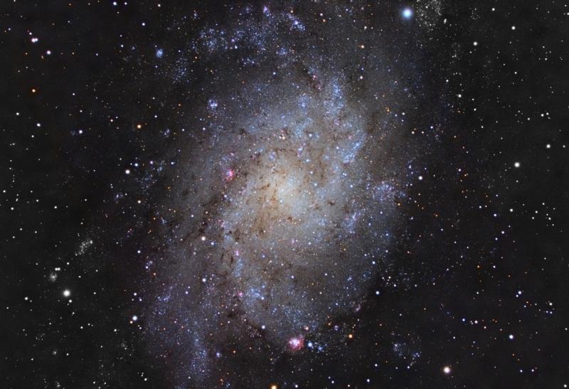 M33 M33