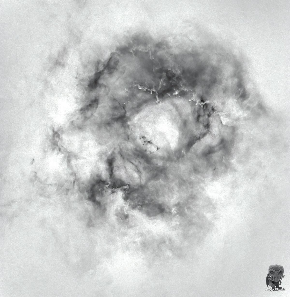 AstroArt autour de la Rosette AstroArt autour de la Rosette