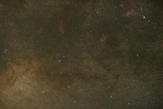 Patte de chat, brute