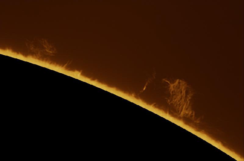 Sun Leo_82