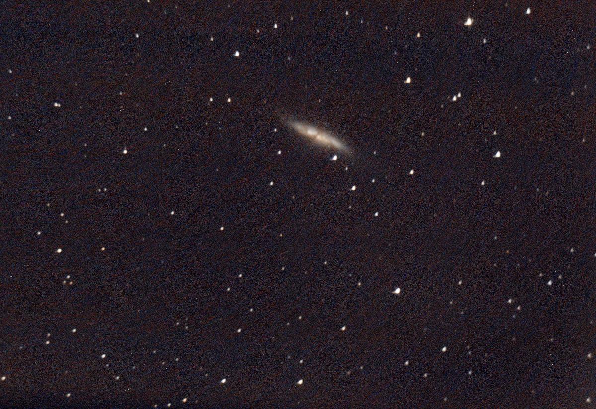 M82