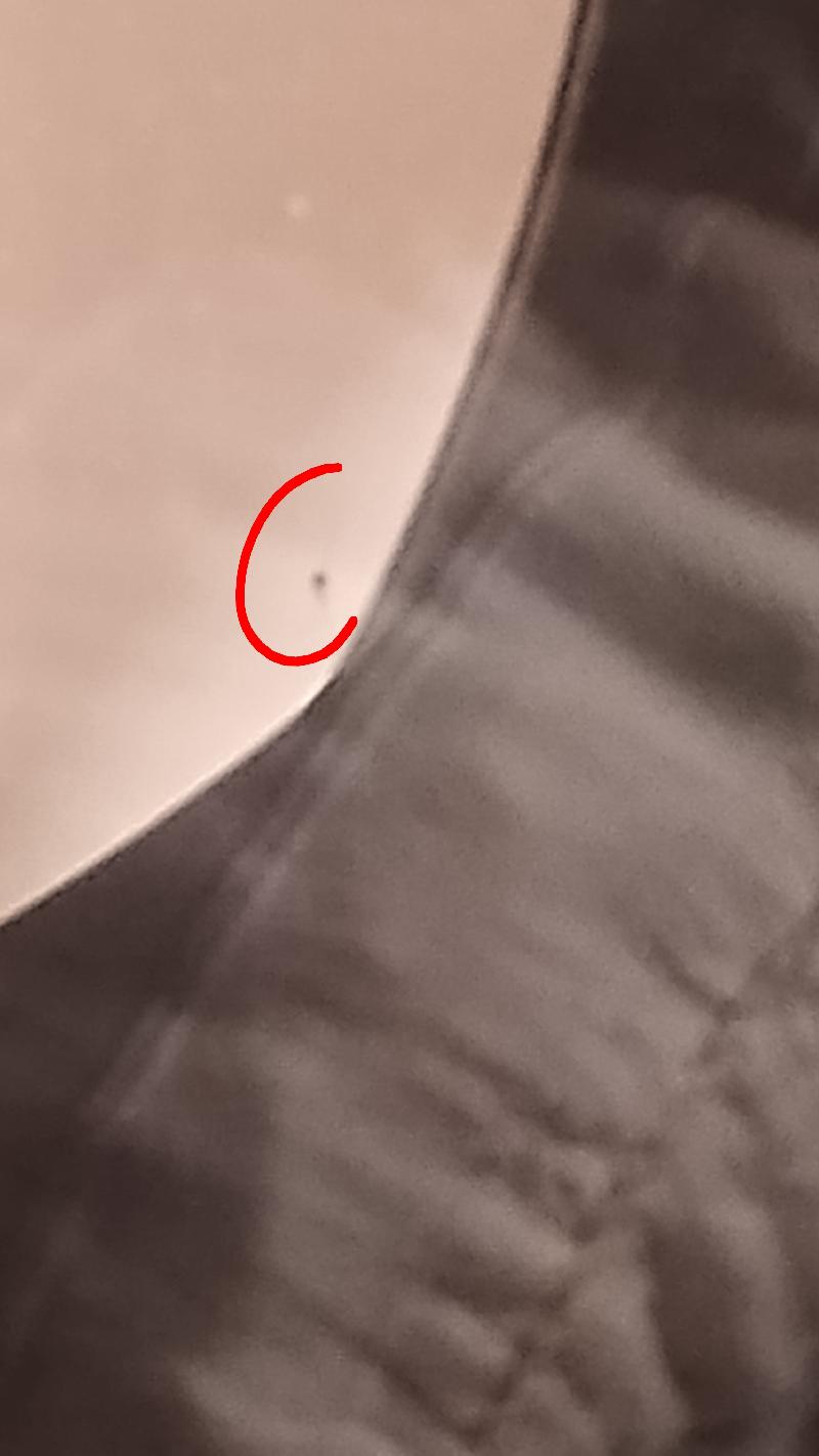 C8 .