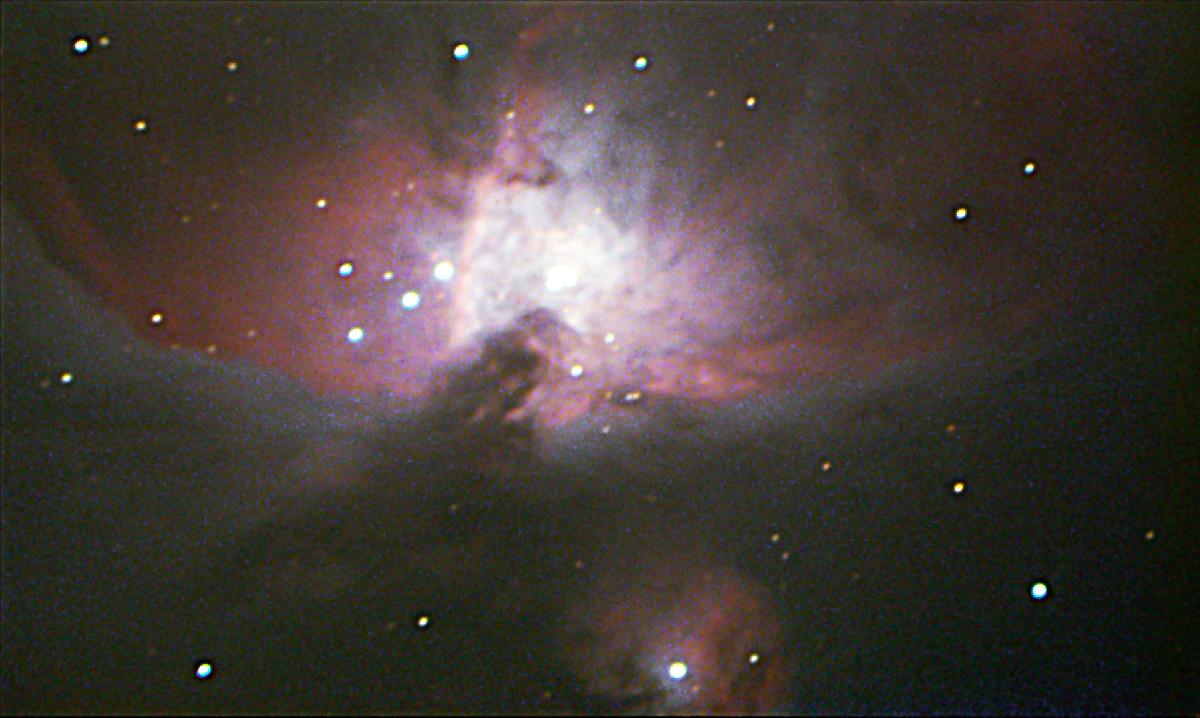 Orion Orion
