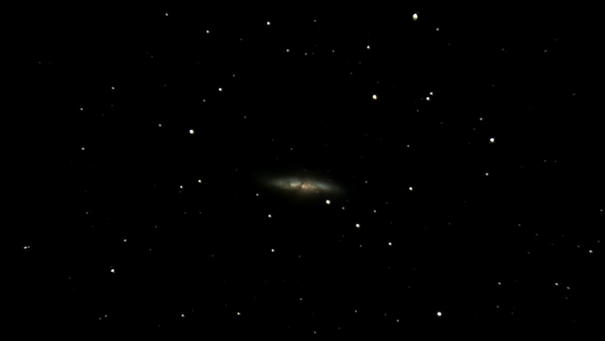 M82
