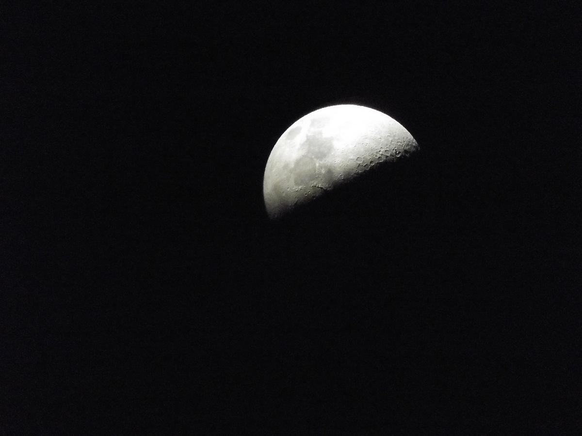 1/2 lune 1/2 lune