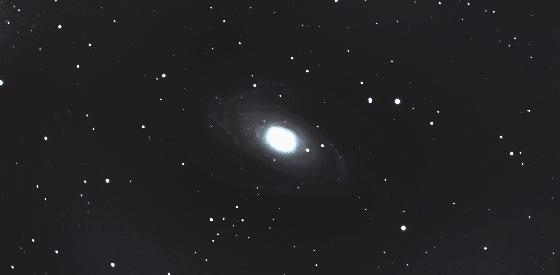 m81a m81a