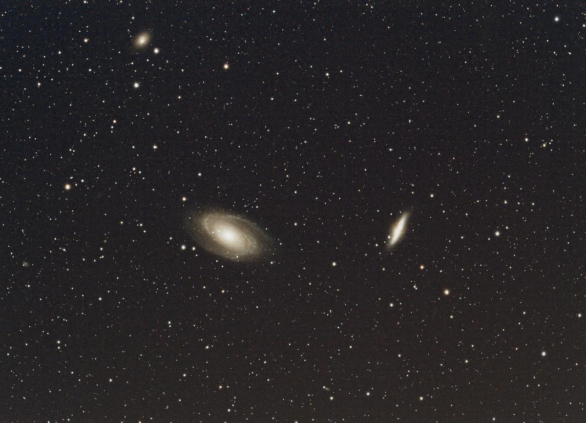 M81 M81