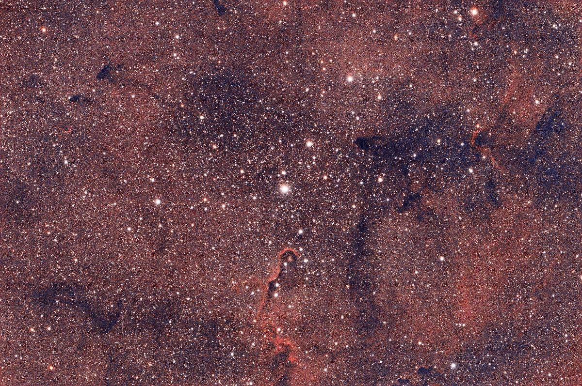 IC1396 Elephant Trunk IC1396 Elephant Trunk