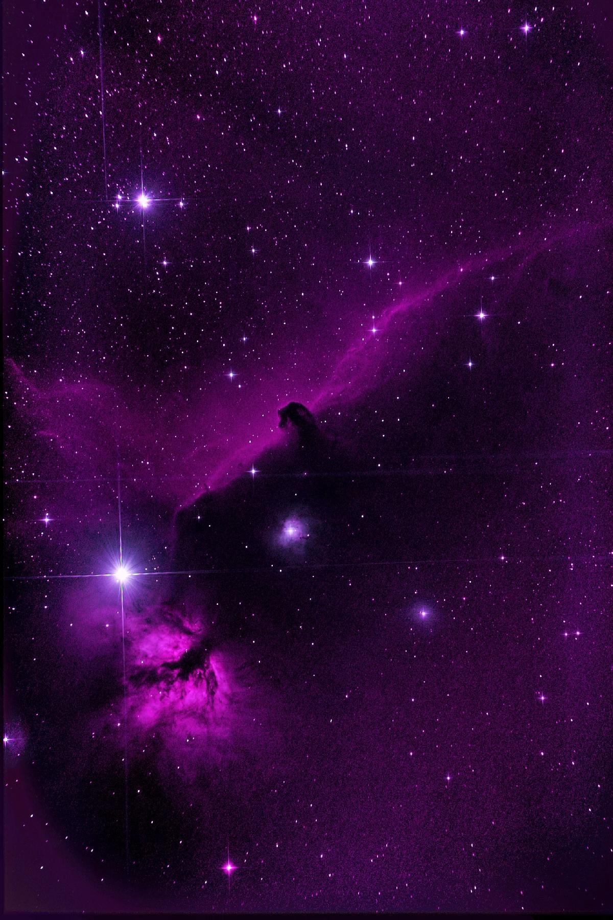 IC 434 et NGC 2024