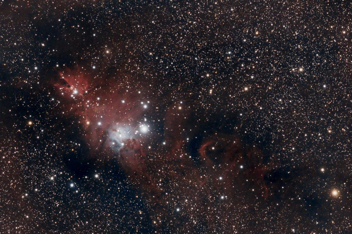 NGC2264